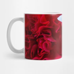 Red and White Mug